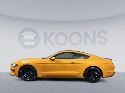 2019 Ford Mustang EcoBoost