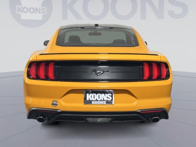 2019 Ford Mustang EcoBoost
