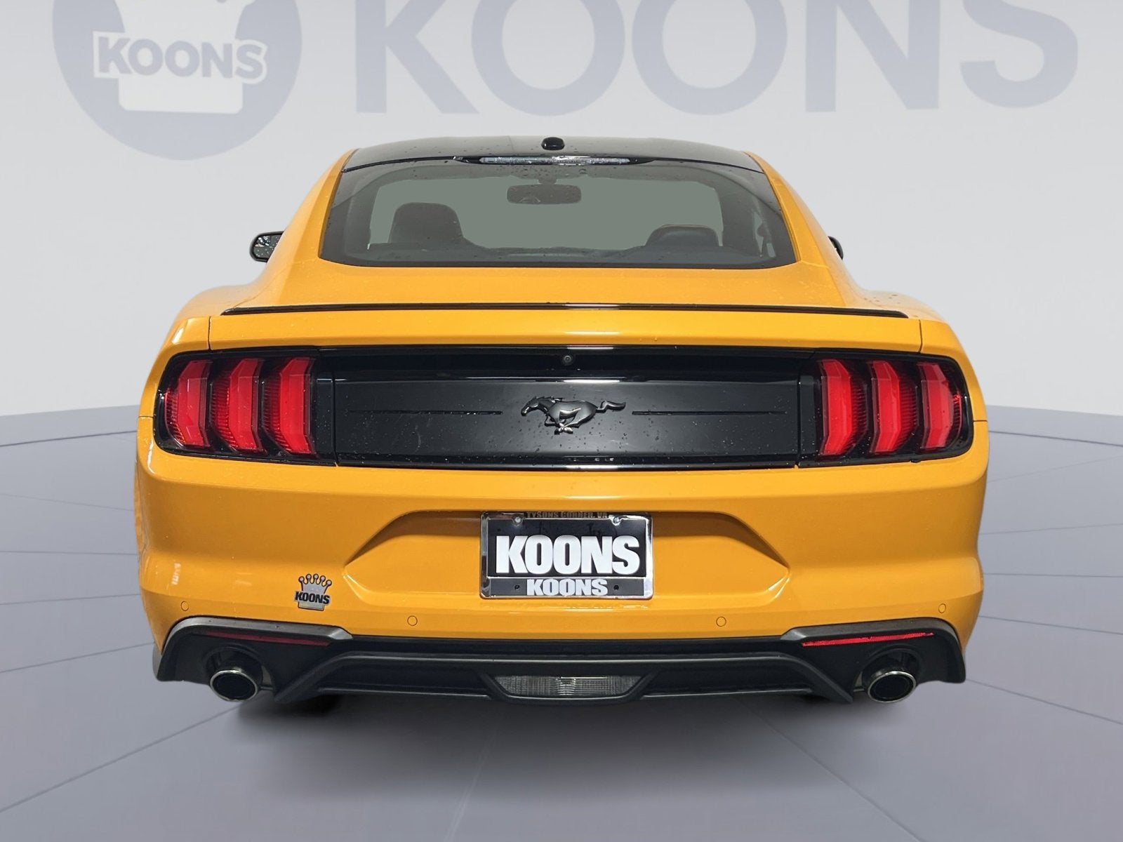 2019 Ford Mustang EcoBoost