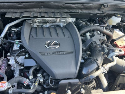 2025 Lexus NX 350 Base