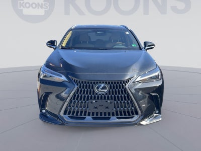 2025 Lexus NX 350 Base