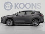 2025 Lexus NX 350 Base