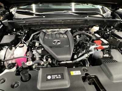 2024 Lexus NX 350 Premium