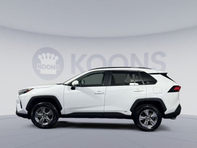 2025 Toyota RAV4 Hybrid XLE