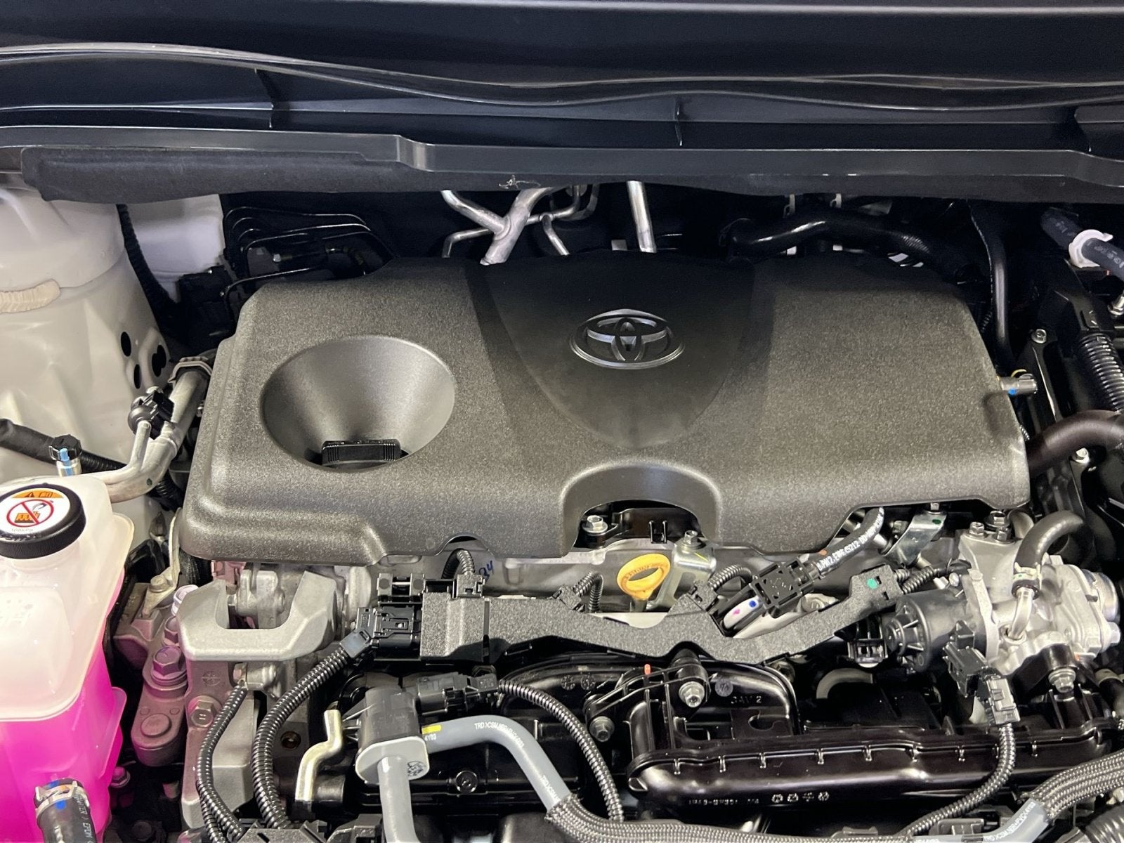 2025 Toyota Sienna LE