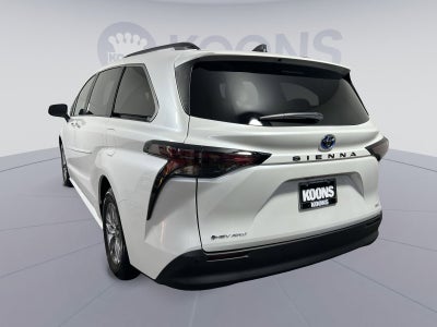 2025 Toyota Sienna XLE