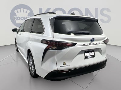 2025 Toyota Sienna XLE