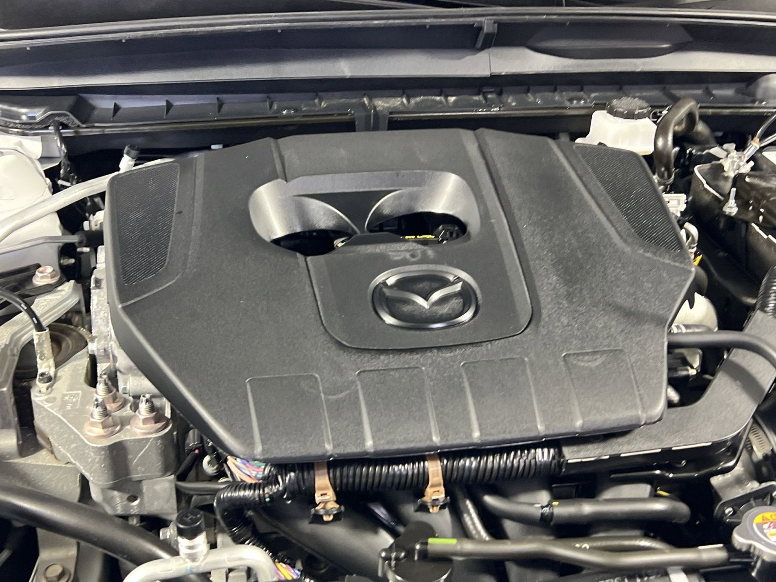 2025 Mazda Mazda CX-50 2.5 S Premium Package