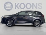 2024 Lexus NX 350h Luxury