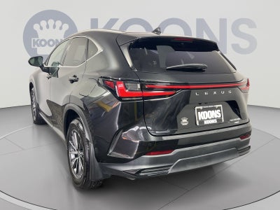 2024 Lexus NX 350h Luxury