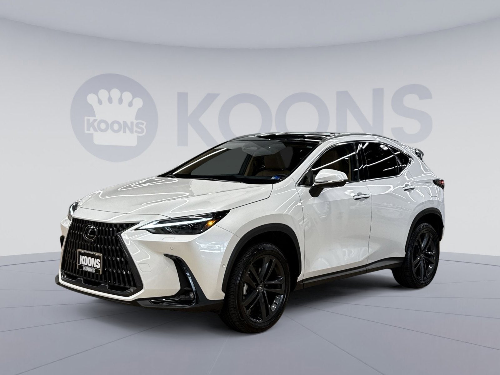 2025 Lexus NX 450h+ 450+ Luxury AWD's photo