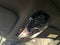 2024 BMW 7 Series 740i xDrive